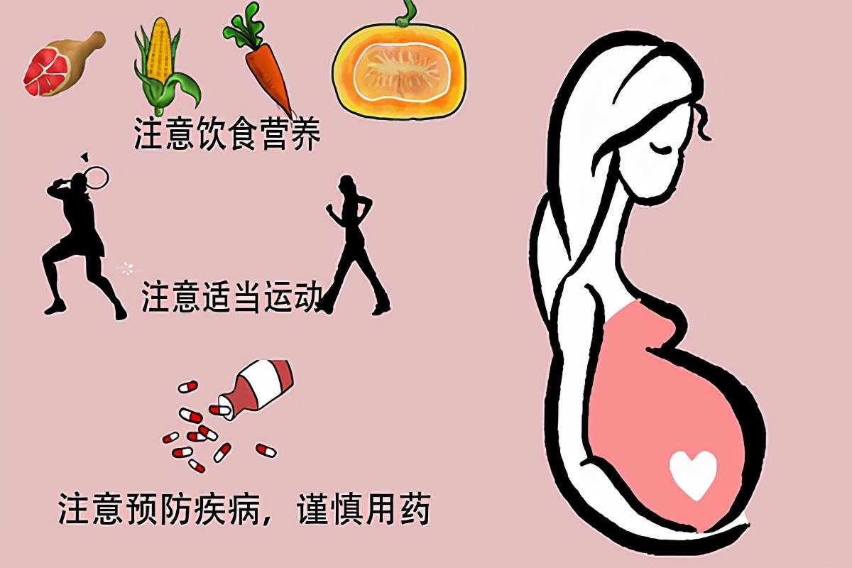 孕育新生命是大事，如何科学备孕？这几方面不能少