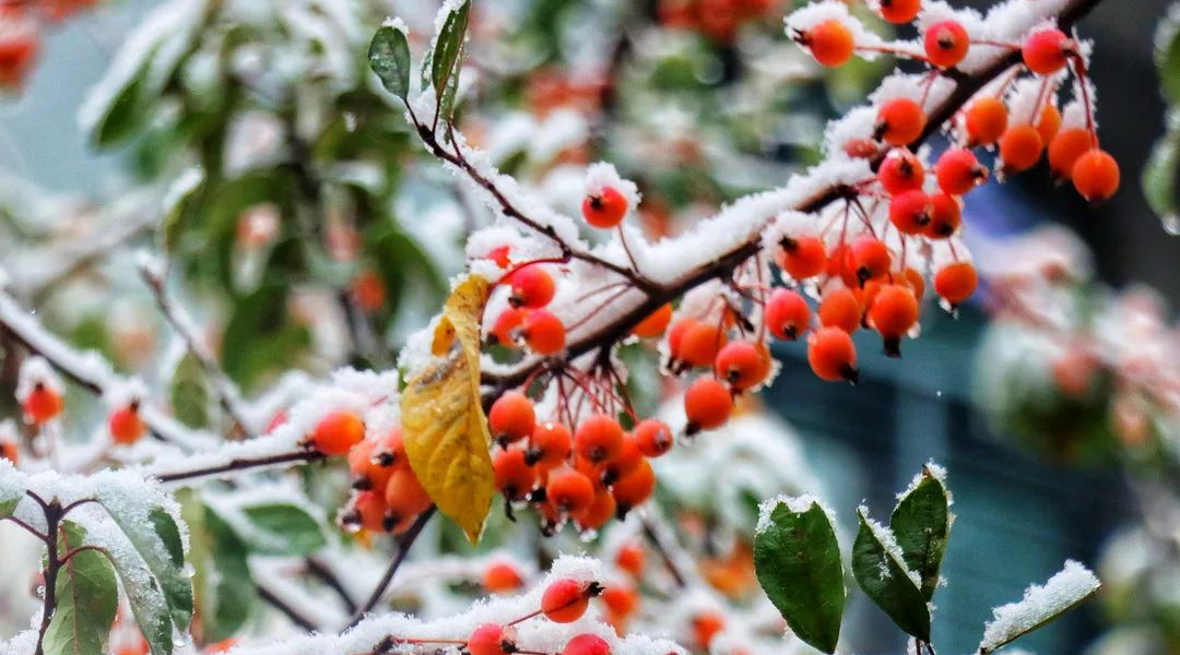 为什么可以报考河北师范大学？