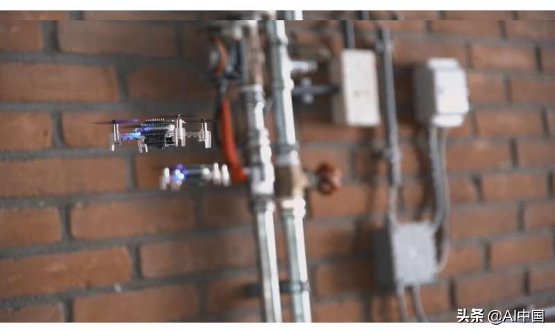 用于自主机器人的昆虫启发式 AI