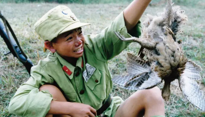 90年代，这些童星“红极一时”，30年过去了，他们如今怎样了？