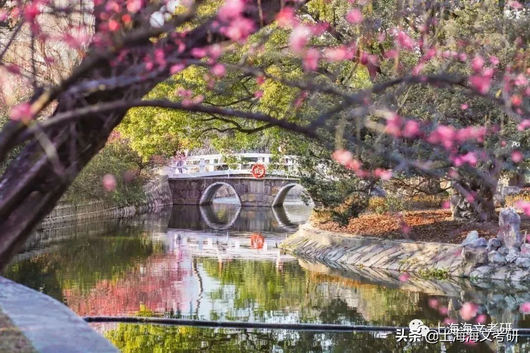 报考人数top10的高校！这所高校4万多人报名