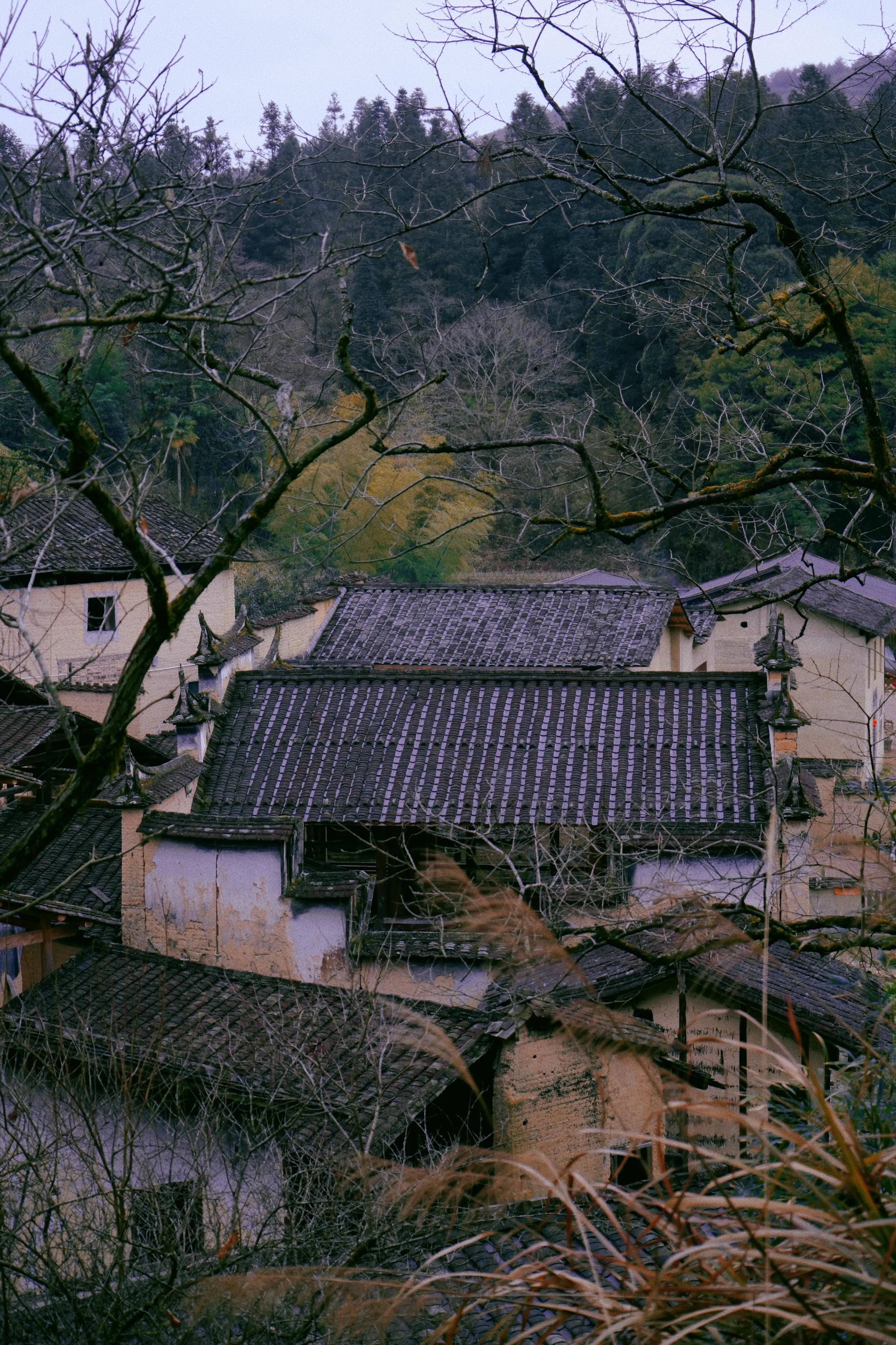 有这么一个修养圣地！竟然隐藏在福建屏南的小山村里