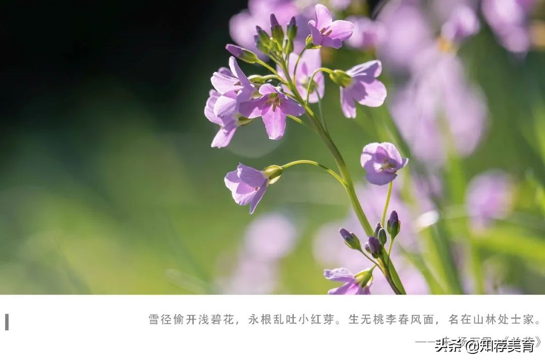 君子应该具有的精神品质