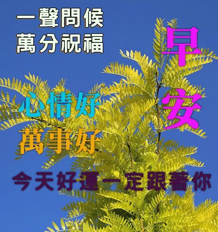 「2022.03.12」早安心语，正能量短句子，植树节唯美早安文案图片