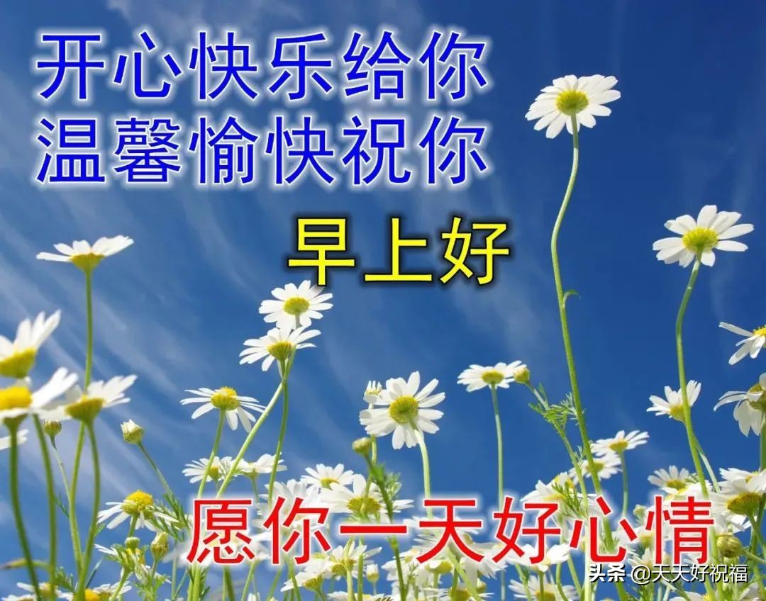 最美夏天風景早上好圖片帶字帶祝福語 好看的早安問候祝福語圖片