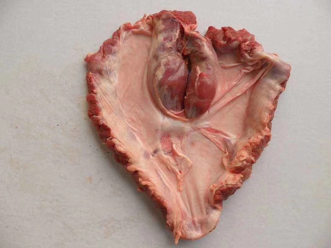 猪天梯的营养价值(猪身上不可多得的5个宝贝)