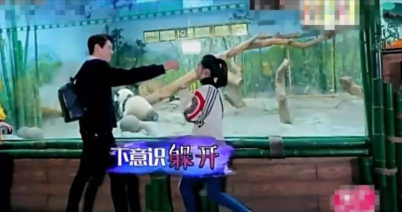 李沁：曾被国家秘密培养，受李少红力捧，为什么会被骂背信弃义？