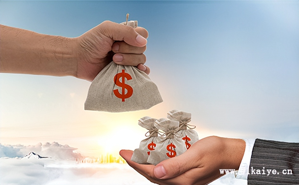 什么是实收资本