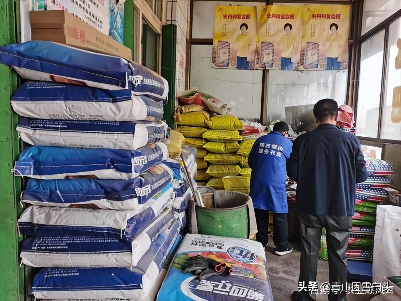 容易赔了夫人又折兵！盘点9个被网红带偏的农村创业项目