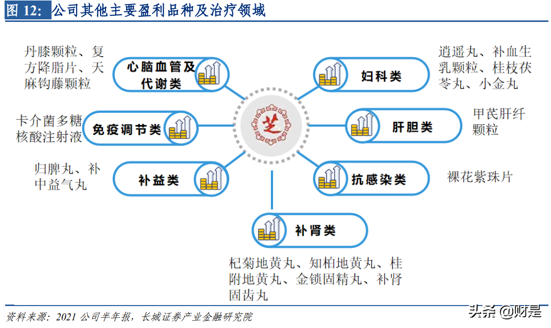 中药行业之九芝堂研究报告