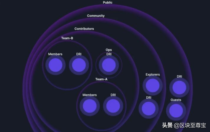 DAO由用户、社区成员、贡献者、团队4层组成