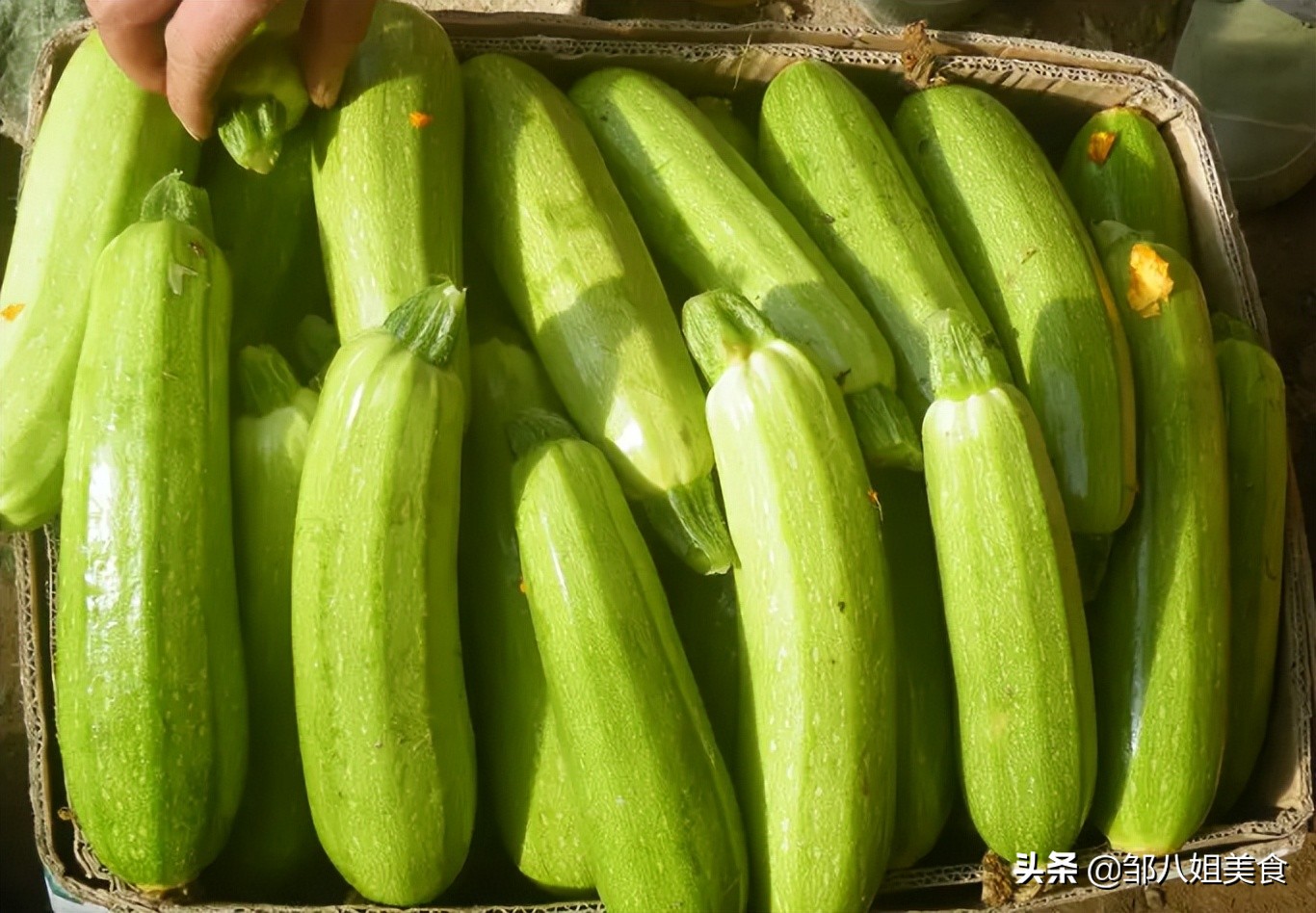 強烈建議中老年人：夏天少吃西瓜，多吃這4種應季菜，對身體好