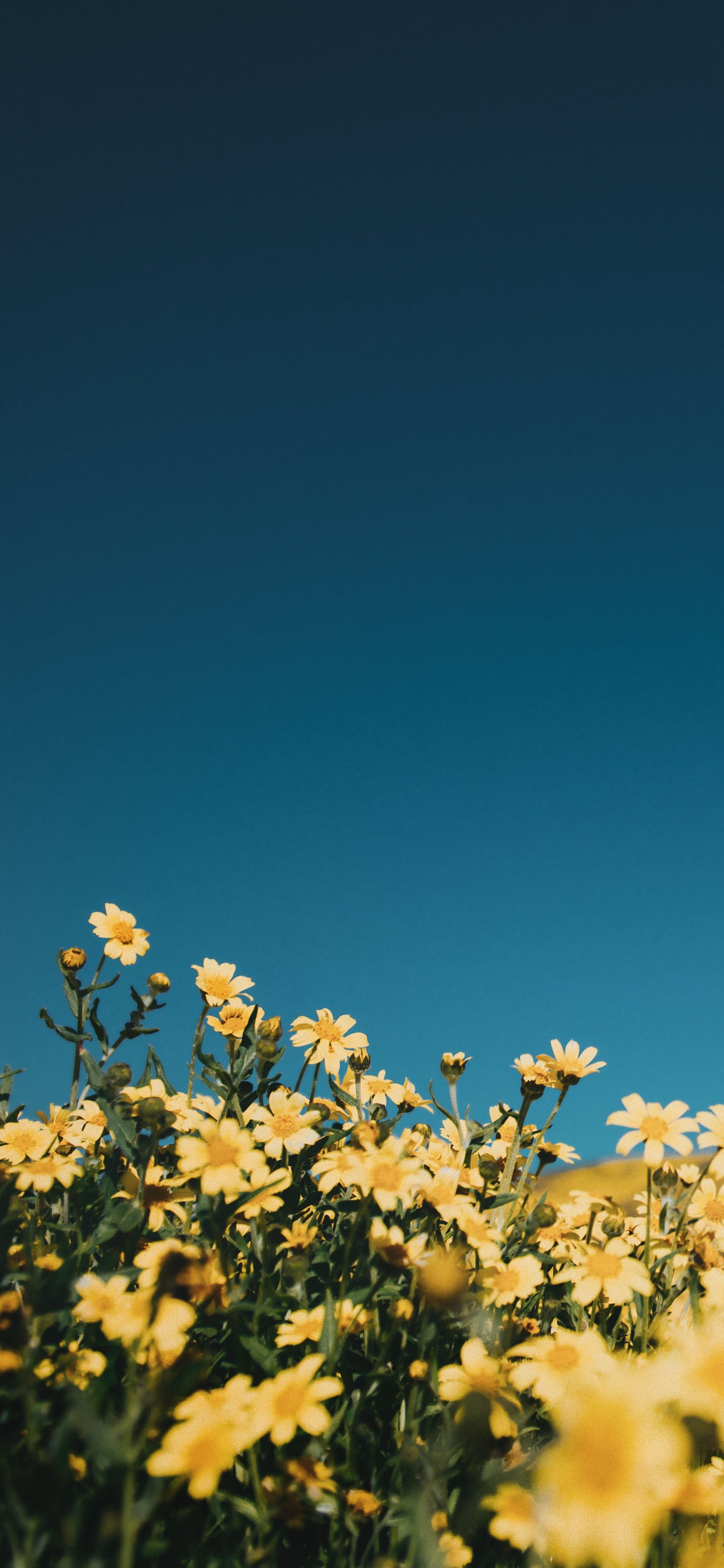 022睡前发朋友圈的晚安语录文案，对得起初心，守得住永心"