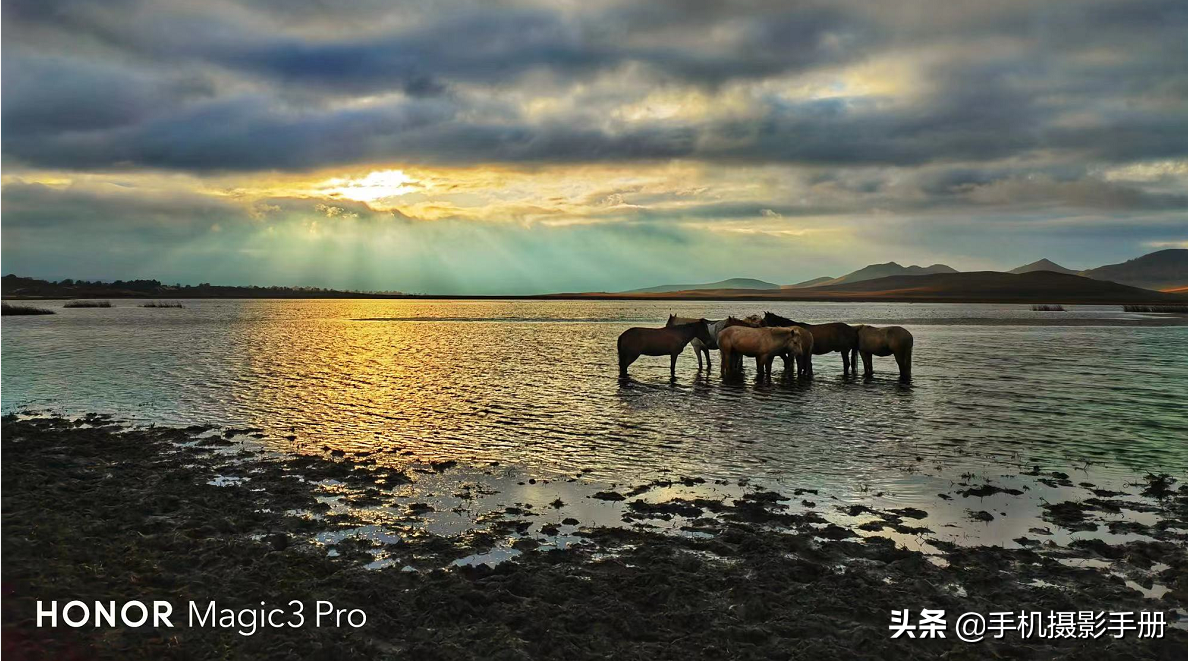 想用手机拍好照片，摄影师总结出12个要领，看看你掌握了几条？