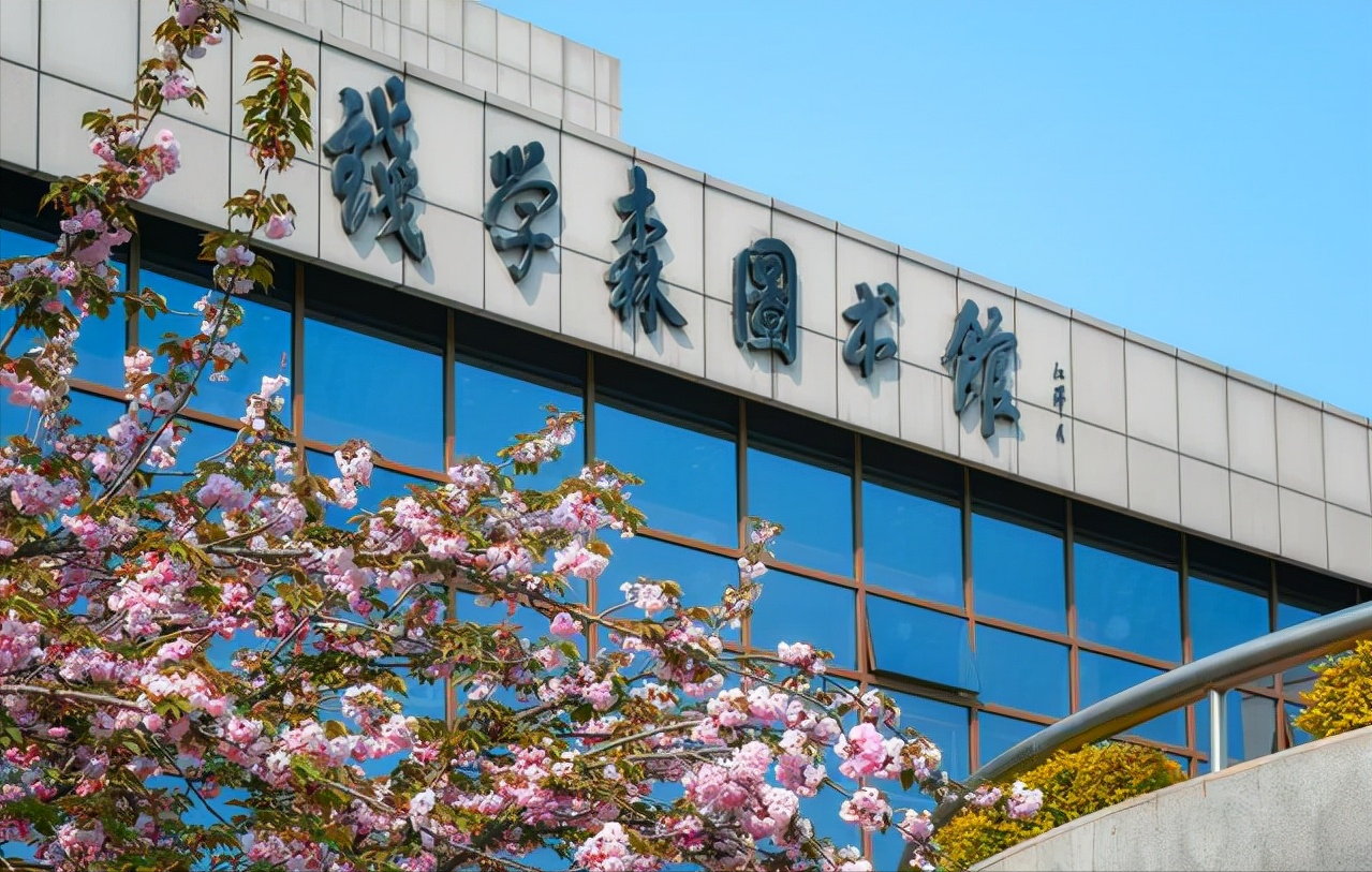 清北、华五本科即可落户北京，网友：那西安交大和哈工大呢？