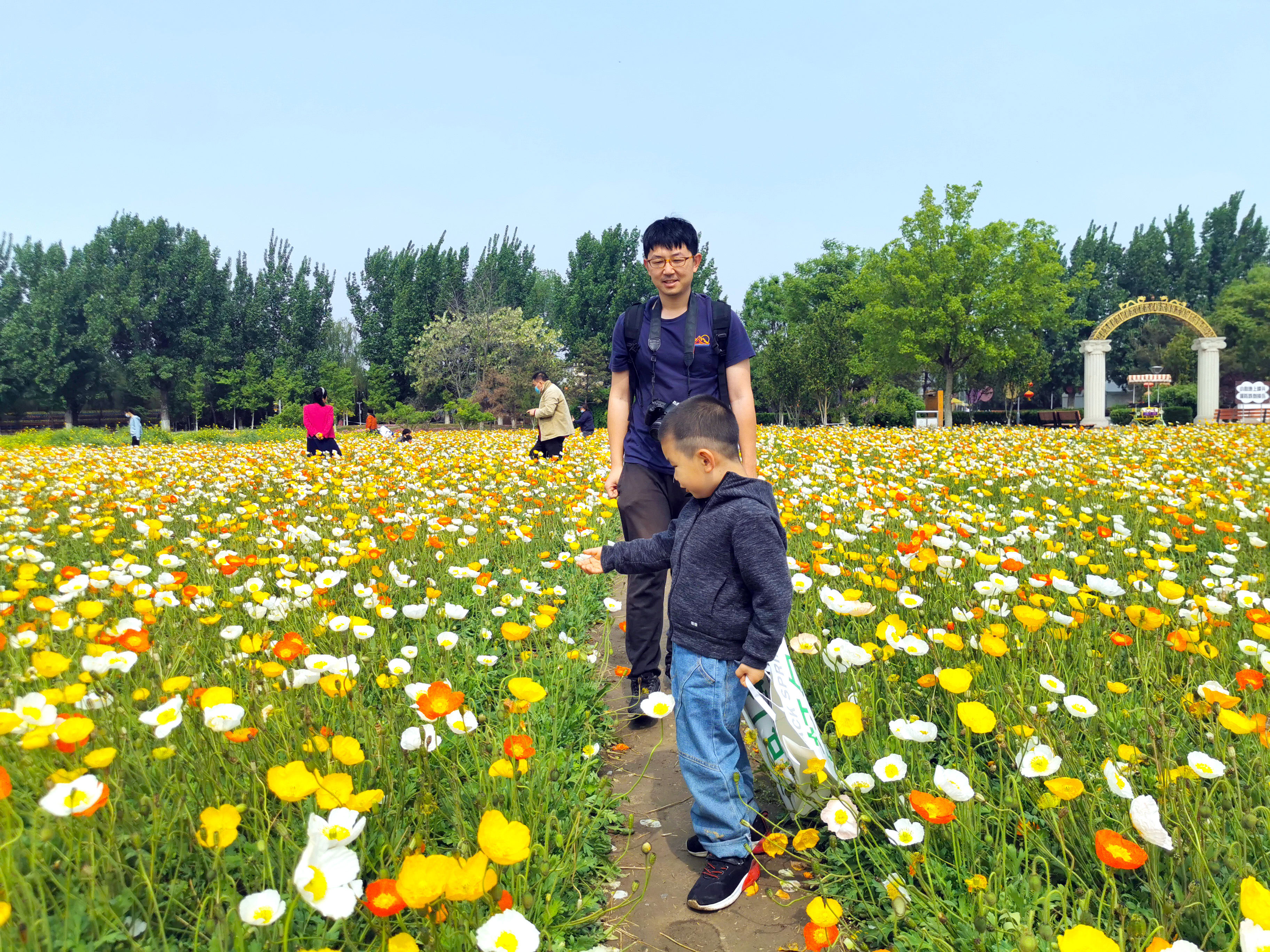 北京藏着一片神仙花海，宛如人间仙境，五一假期好去处