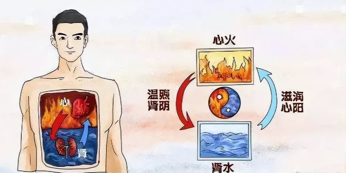 阴虚火旺体质有什么症状?阴虚火旺体质调理其实很简单