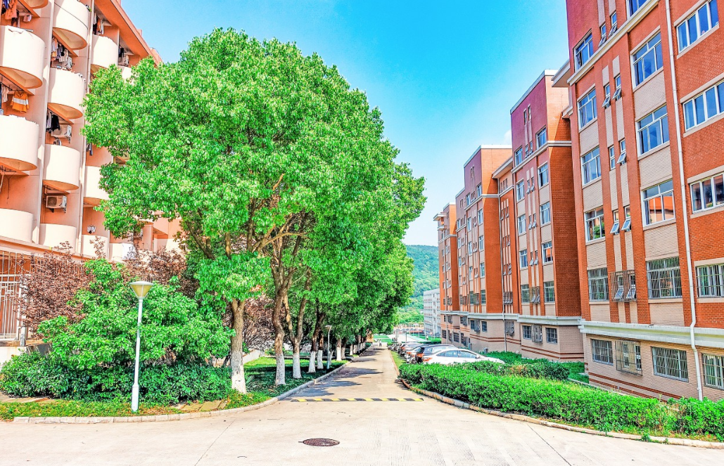 22年江苏迎来好消息，三所本科院校值得报考，学生可以“捡漏”