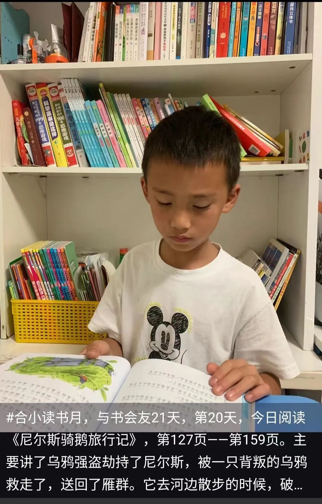 四川天府新区合江小学读书月--书香少年系列报道（一）