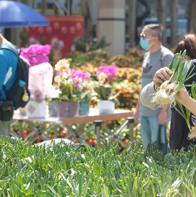 香港留学生「就地过年」怎么过？2022春节最强攻略快马住