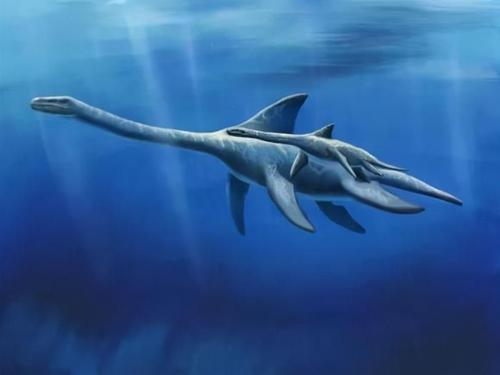 青海湖水怪谜团：说是蛇颈龙有有点不靠谱了