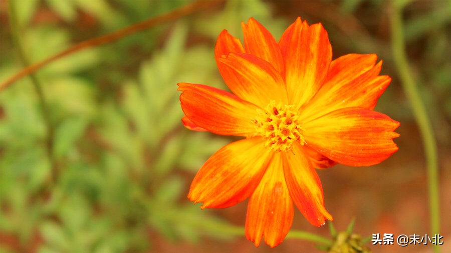 当相爱过的人不再联系时，聪明的女人通常会这样做，希望你也可以