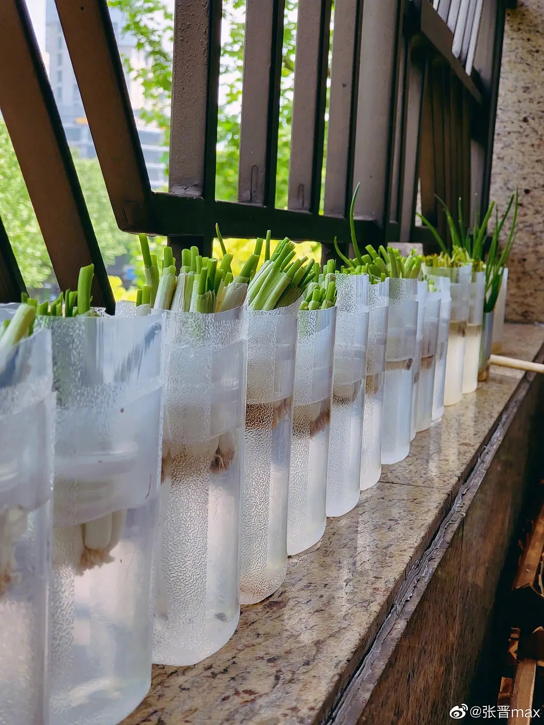 是女明星也是“菜农”！柳岩吃过刘亦菲种的茄子，张馨予家有农场