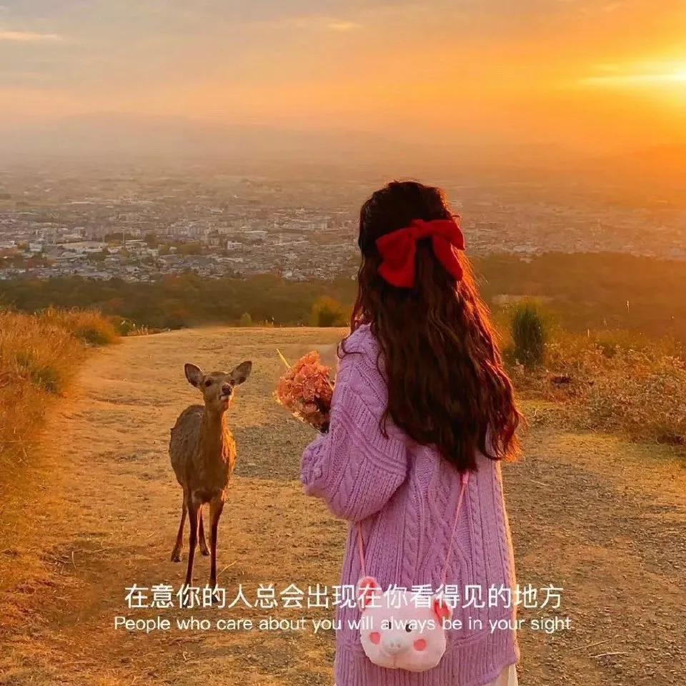 背景图｜“当代网友都是怎么描写遗憾的”