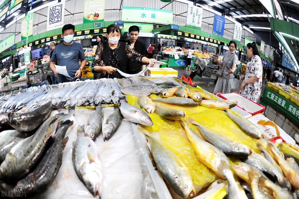 买鲈鱼时，要分清“河鲈”和“海鲈”，区别挺大，弄懂再买不吃亏