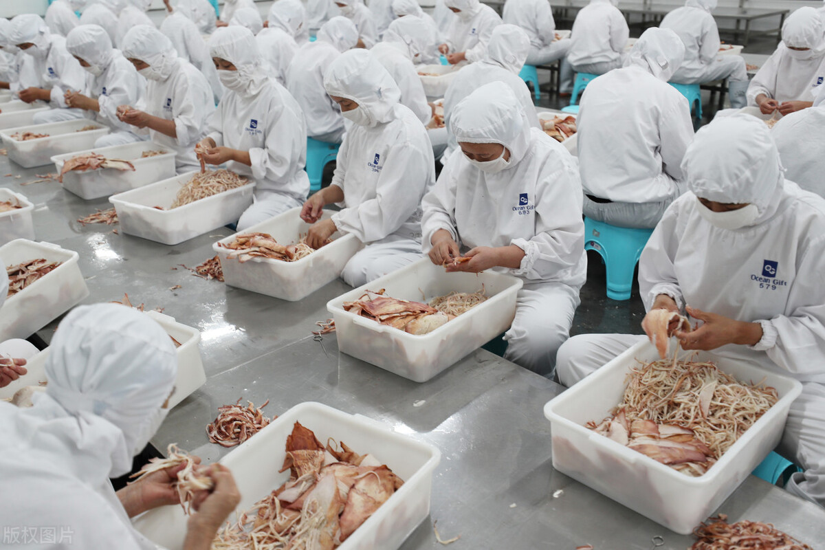 海鲜加工图片,海鲜图片
