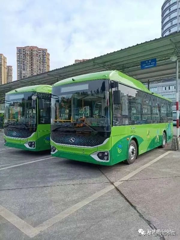 「太虎了」万盛崭新新能源公交车 你坐上了吗？