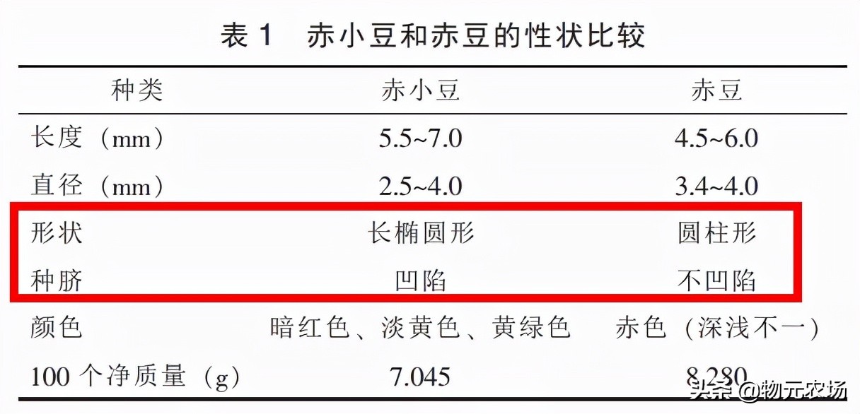 红豆家族人口多 各有各的不同 你知道如何区分吗？