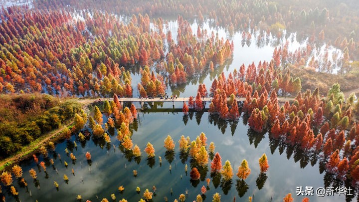 ��ʮ����ȷ��ϵ��̸ح�����ƶ���������չ�ϴ�����·�ӡ�