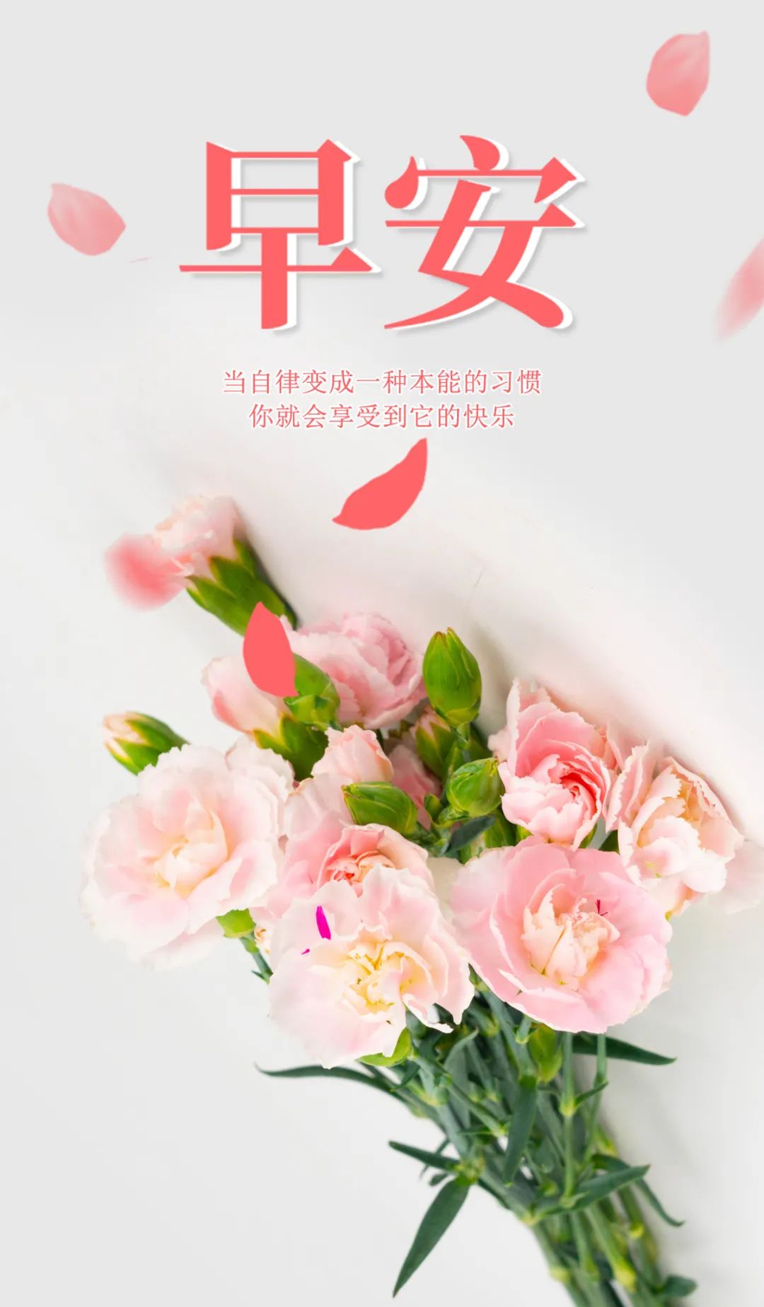 03.21」早安心语,最新正能量短句,阳春3月最美早安图片