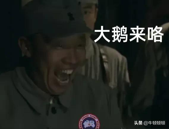 世界最贵大棉袄?加拿大鹅割韭菜传奇
