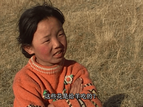 豆瓣9.7分，她的12年人生比《活着》还难，看完哭着打出5星