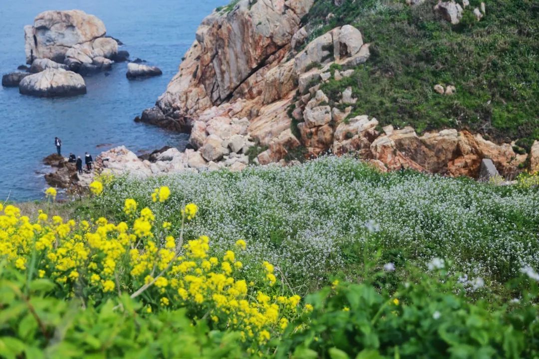 浙江风景名胜(看海还去什么巴厘岛？浙江这几个海岛美翻了，周末就出发)