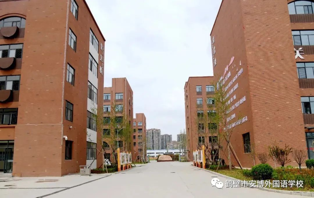 鹤壁市安博外国语学校2022年教师招聘启事