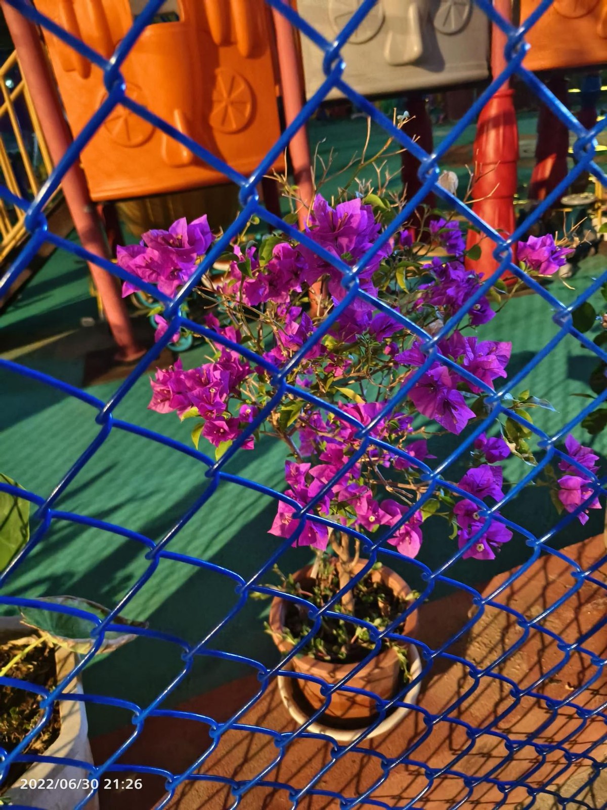 2022年上半年3000-4000最值得推荐入手的手机