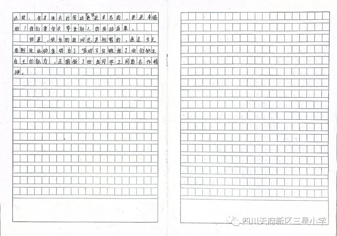 天府新区三星小学特色劳动课堂