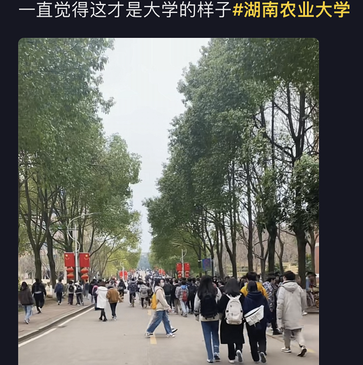 中国烟草偏爱的几所高校，虽然校名朴实无华，毕业生的薪酬可不低