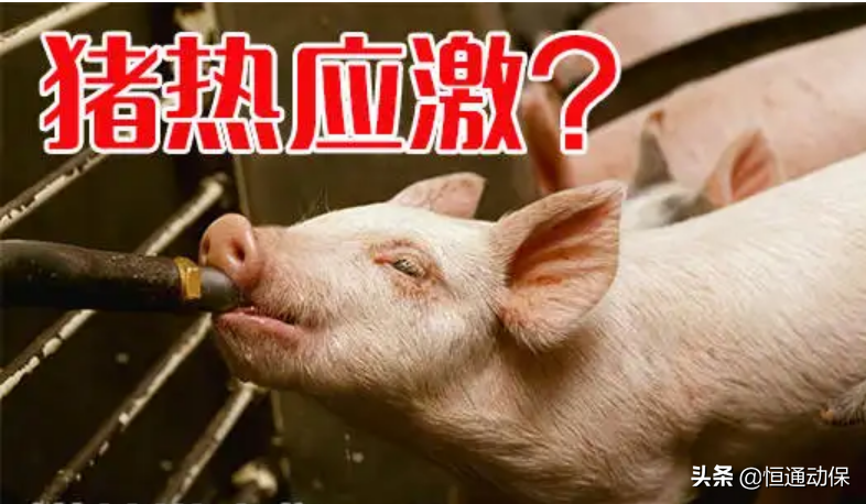 Ӧ�Ը�������������һ��Ҫ�����⼸��