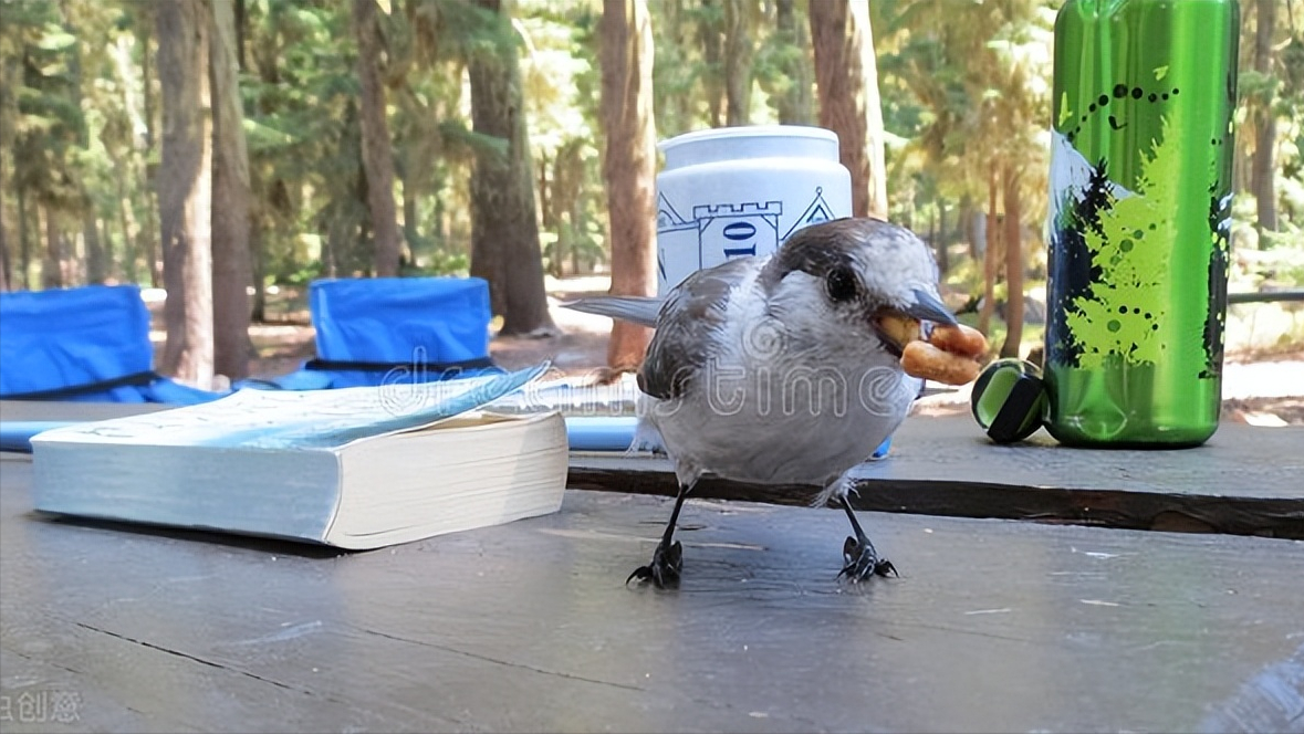 细思极恐的恐怖段子