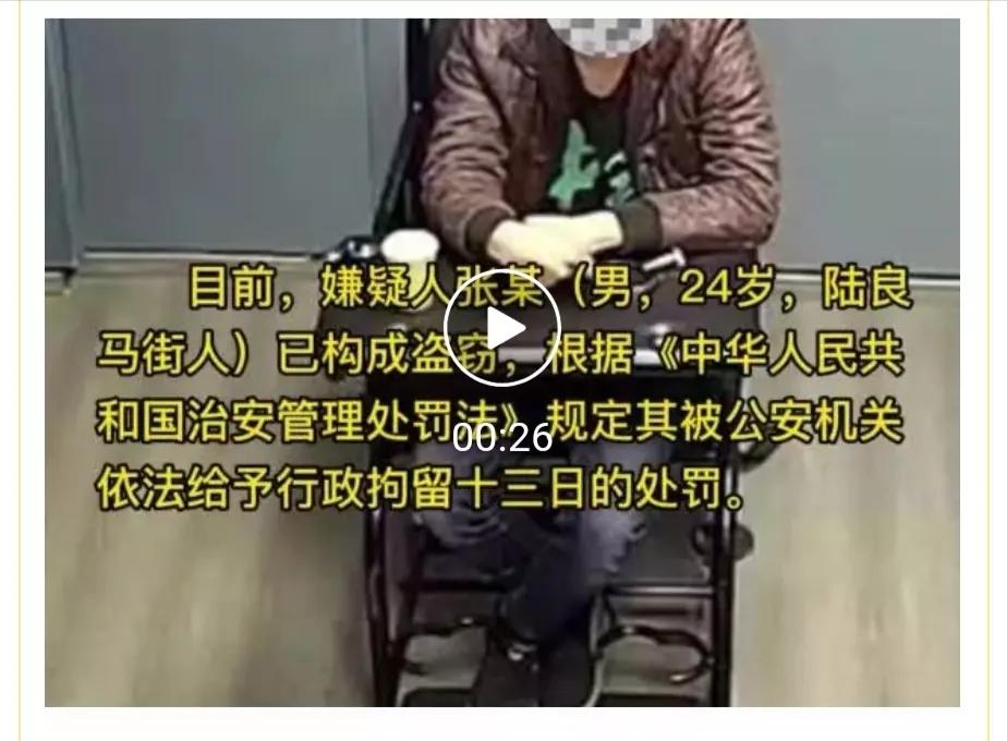 恶习不改 刑释十天又被抓