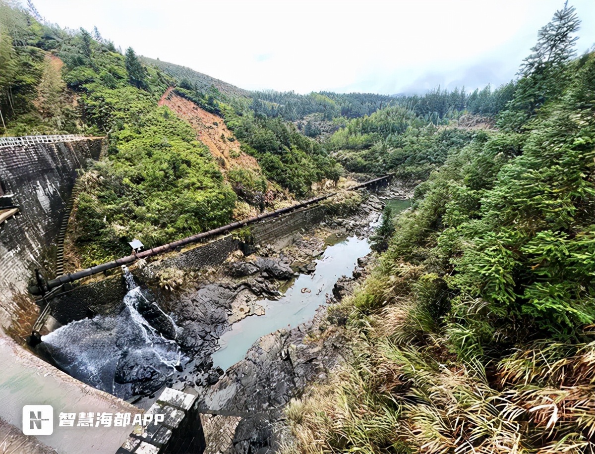 触目惊心！宁德多个水电站断流发电，河道生态遭严重破坏