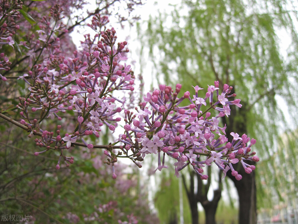 2021绍兴文理学院录取分数