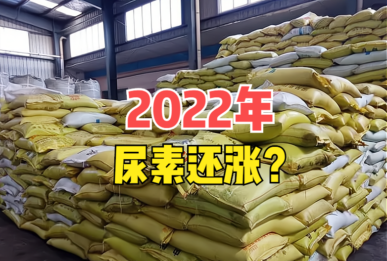 尿素用肥高峰期开启，还要涨价！2022年重演去年大涨？预测来了