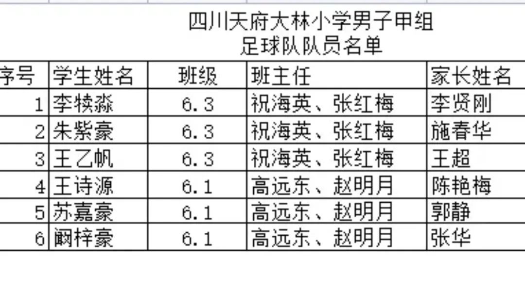 大林小学参加2022年第二届“天府杯”校园足球总决赛取得优异成绩