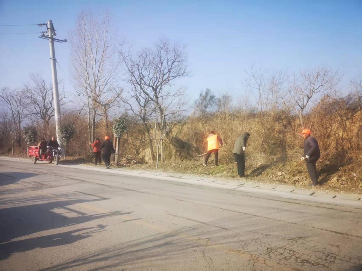 太要镇进行冬季农村人居环境卫生整治