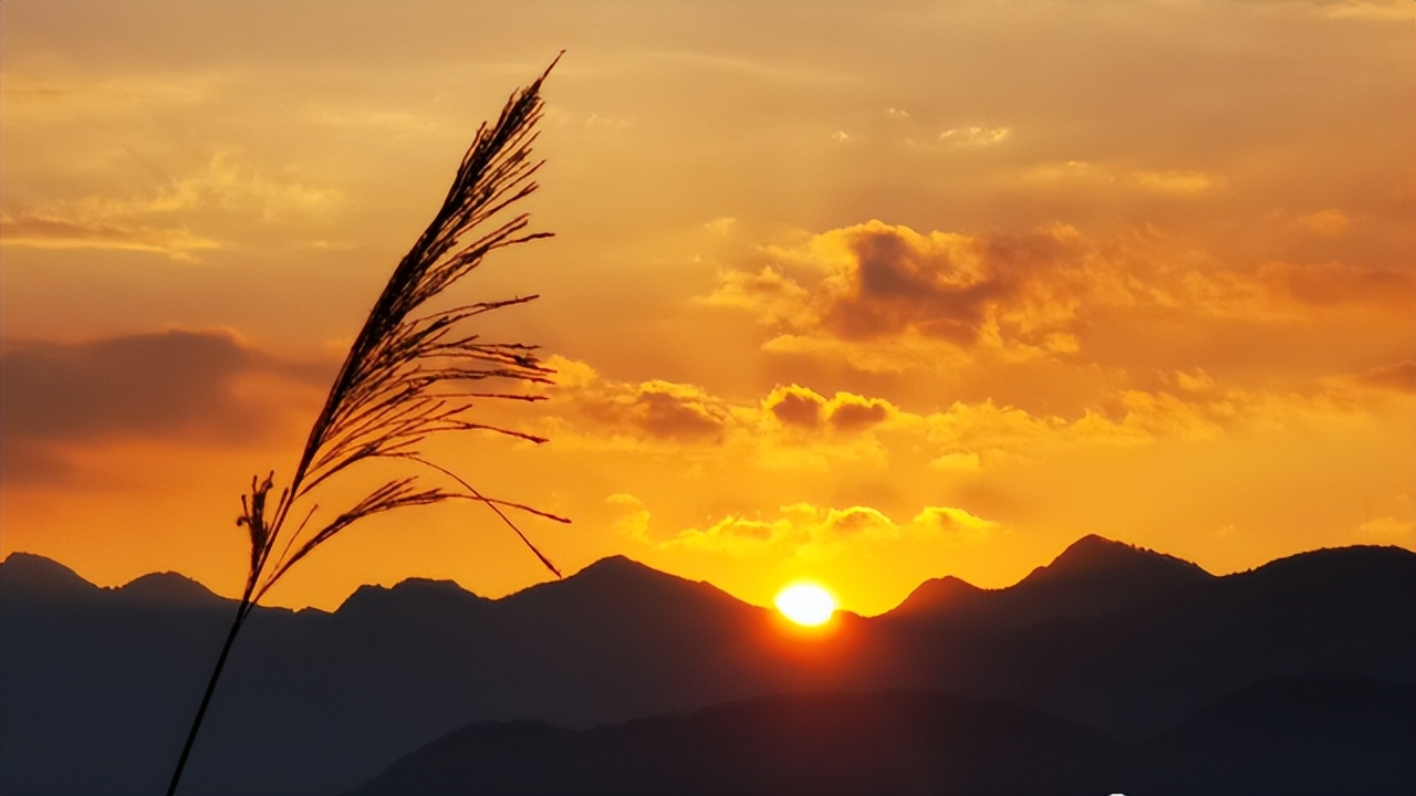 乡居 | 一起来一场远离尘市的乡野生活体验吧......